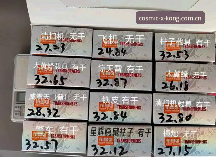 星辉版入口 XINGKONG对比：新手踩坑实录 vs. 正确打开方式