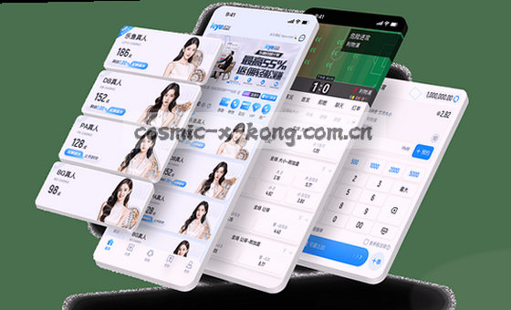 卡片2图片：数据可视化分析
